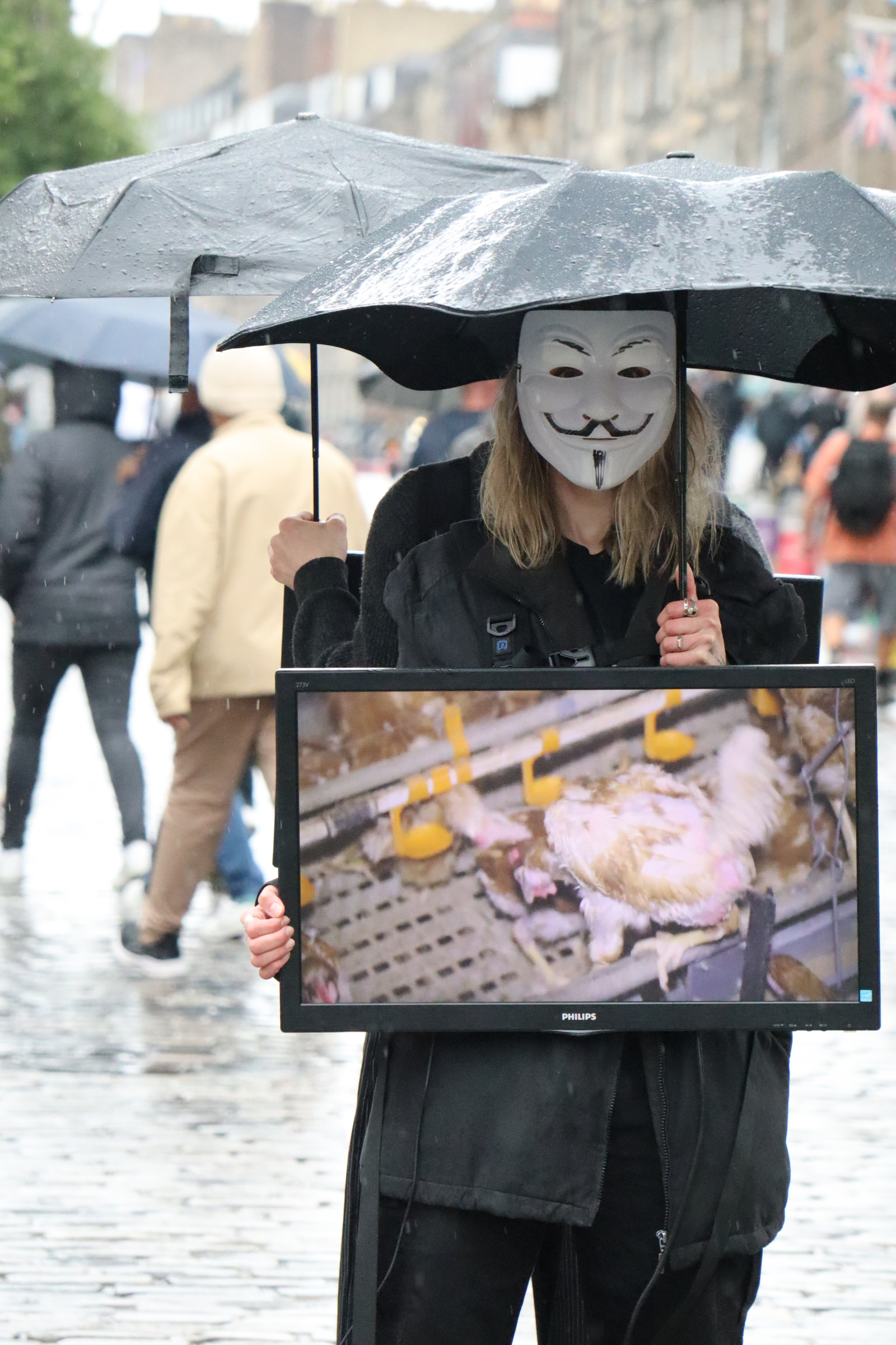 Anonymous for the Voiceless cube of truth